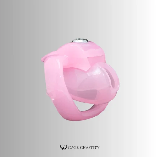 Holy Trainer V5 Nub