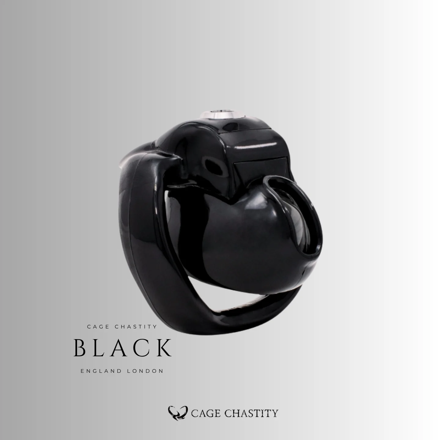 Black Holy Trainer V5 Nub micro cage and arc ring