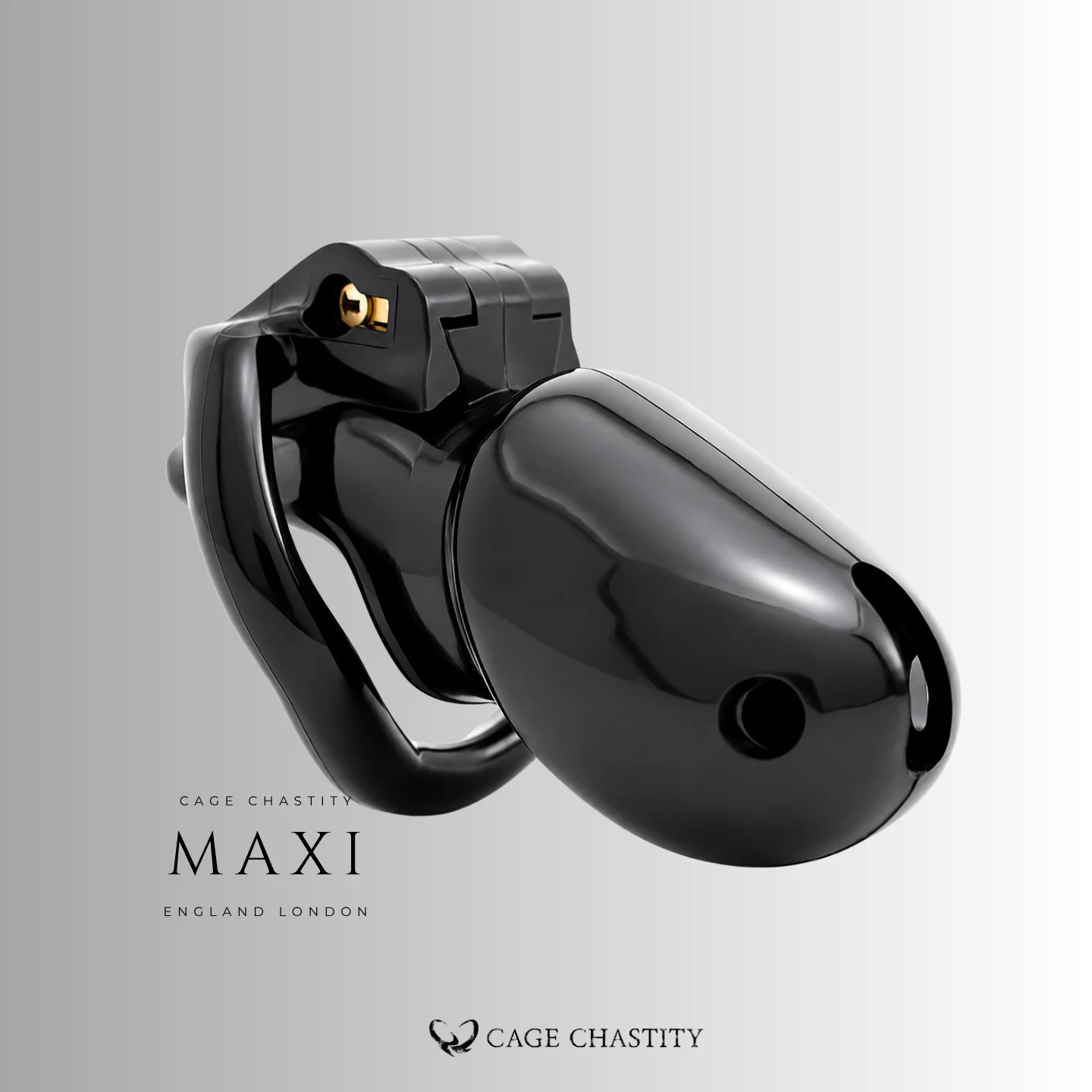Black HTV3 Maxi with extended cage tube and front vents