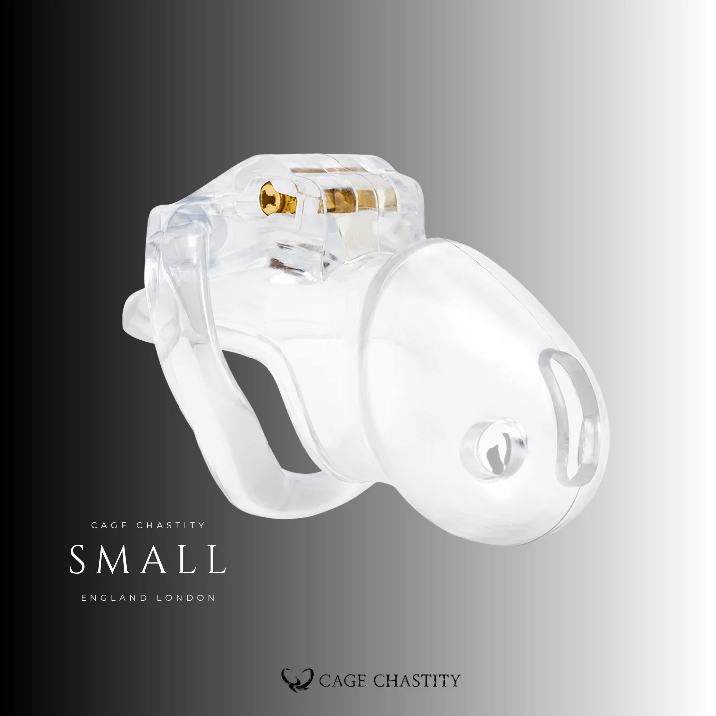 Small clear HT V3 cage and matching resin base ring