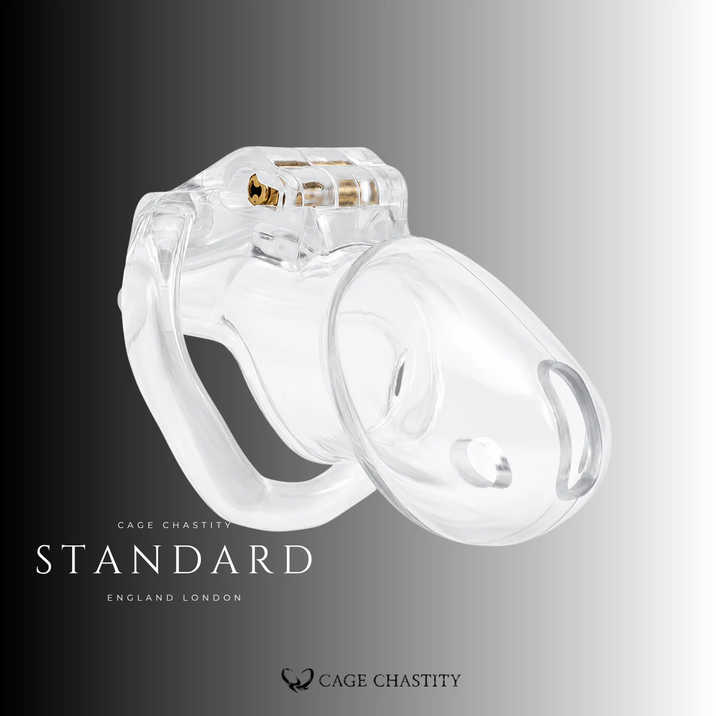 Standard Holy Trainer V3 in crystal-clear resin