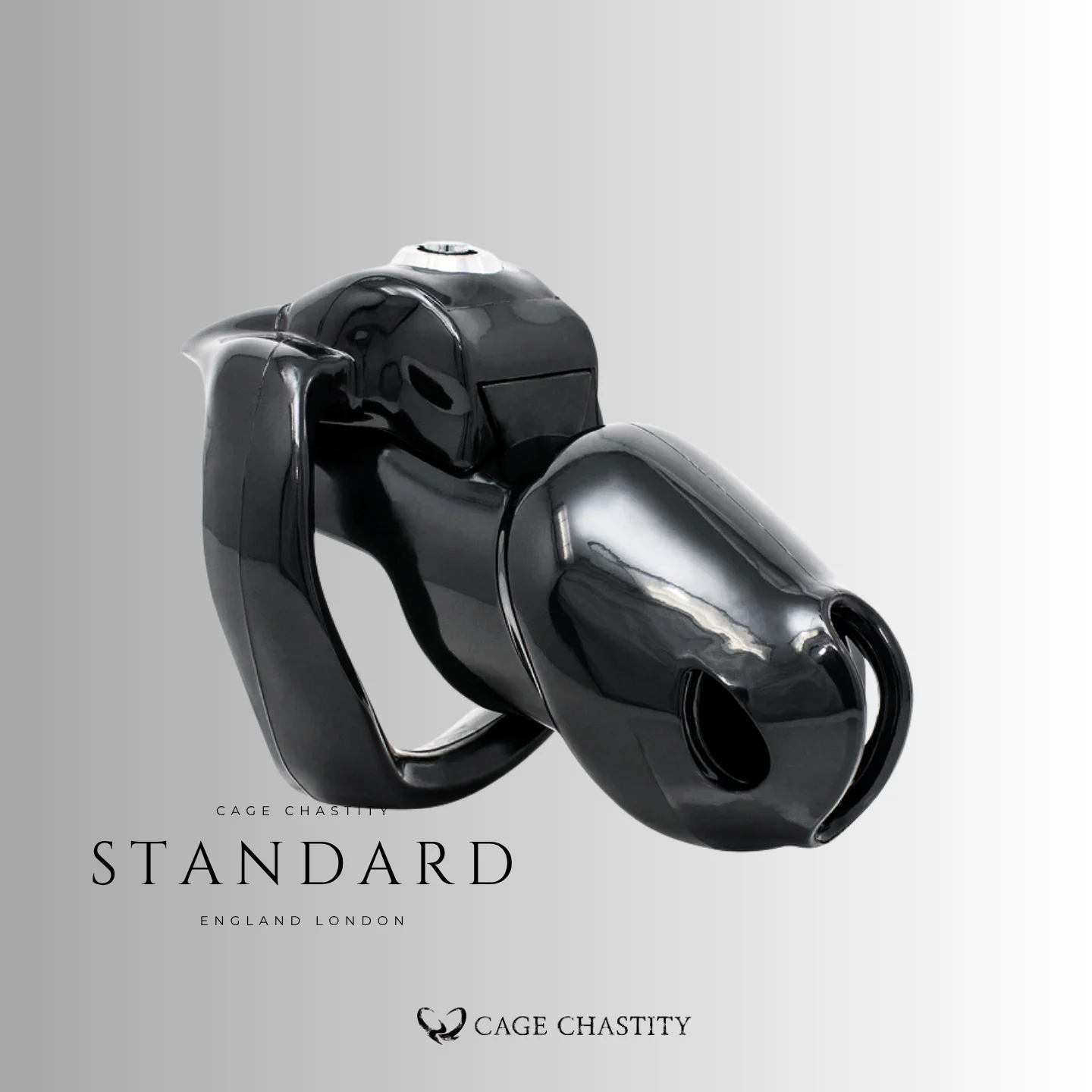 Black HT V5 Standard resin chastity cage