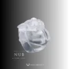 Clear resin HT V5 Nub cage with a transparent ring