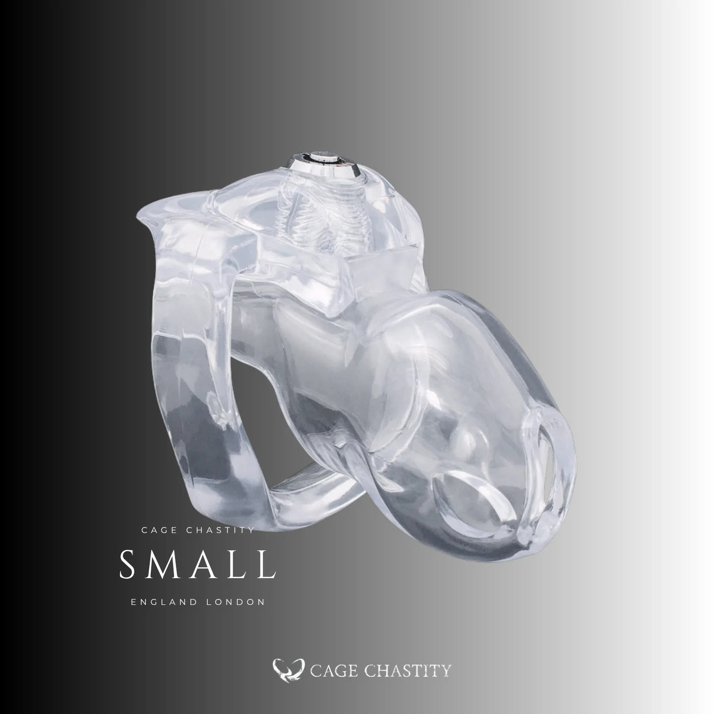 Clear HT V5 Small cage shown with its locking ring