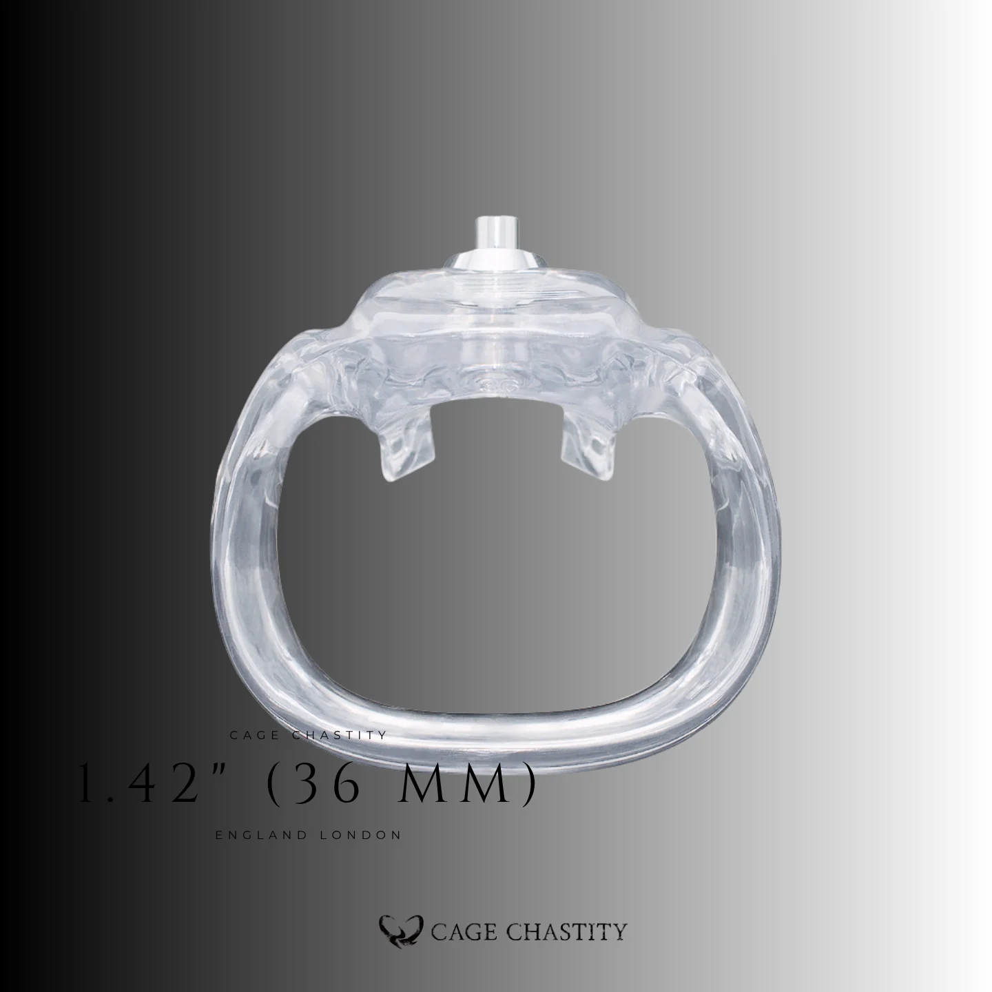 Holy Trainer V5 Rings