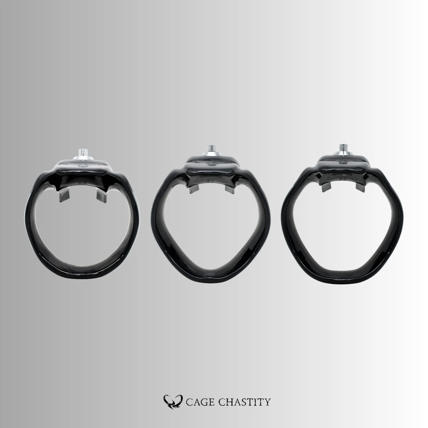 Holy Trainer V5 Rings