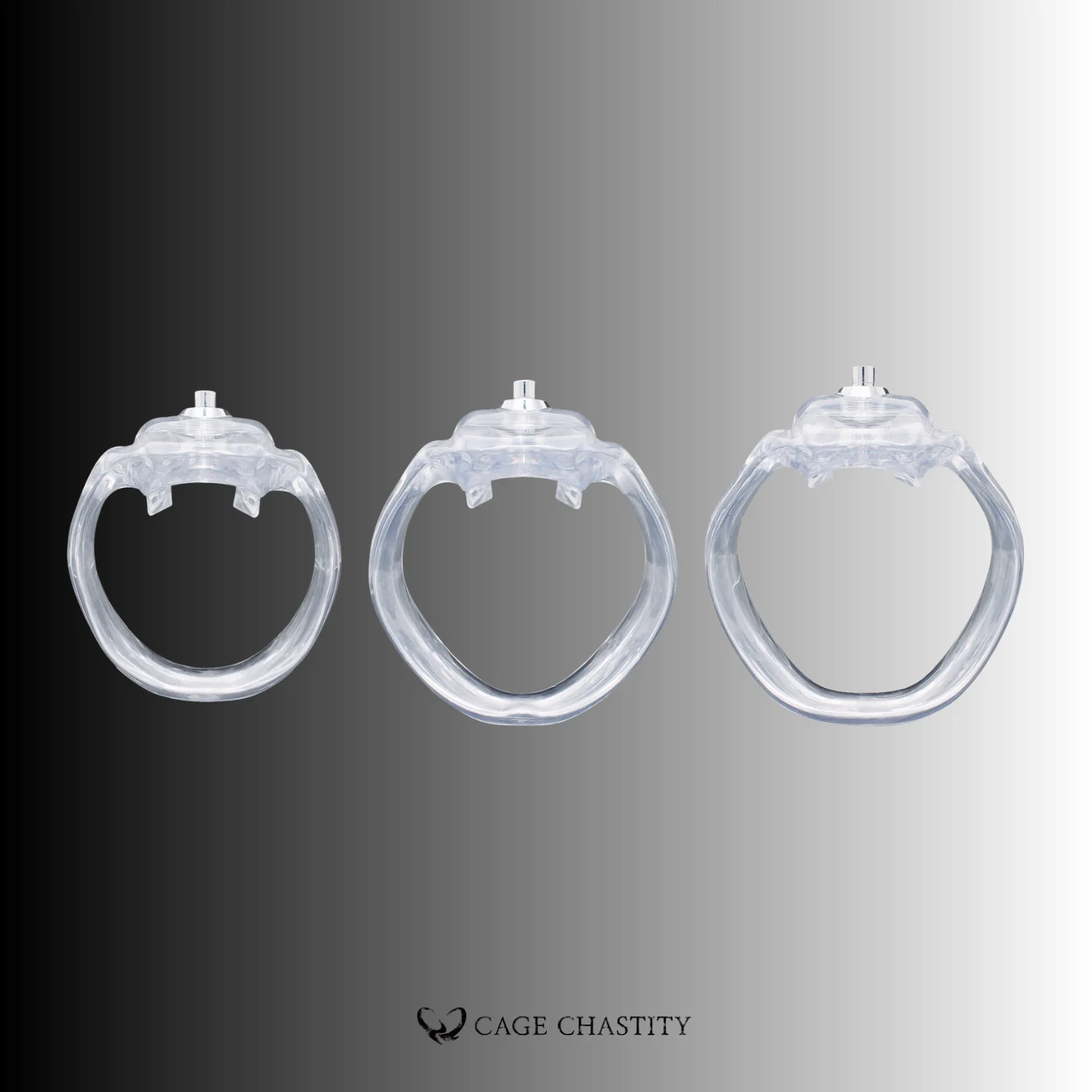 Holy Trainer V5 Rings