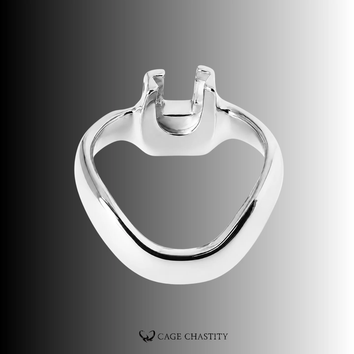Silver Holy Trainer V4 steel base ring for Nub Flower cage