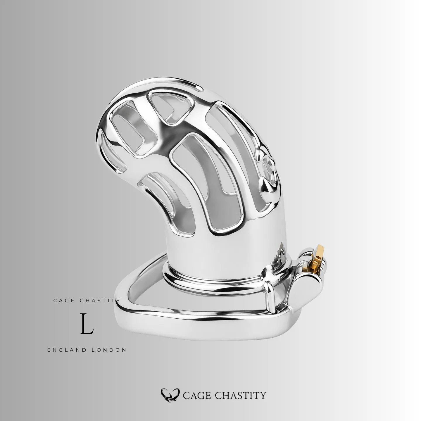 Curved side view of the CCK1156 cage and lock