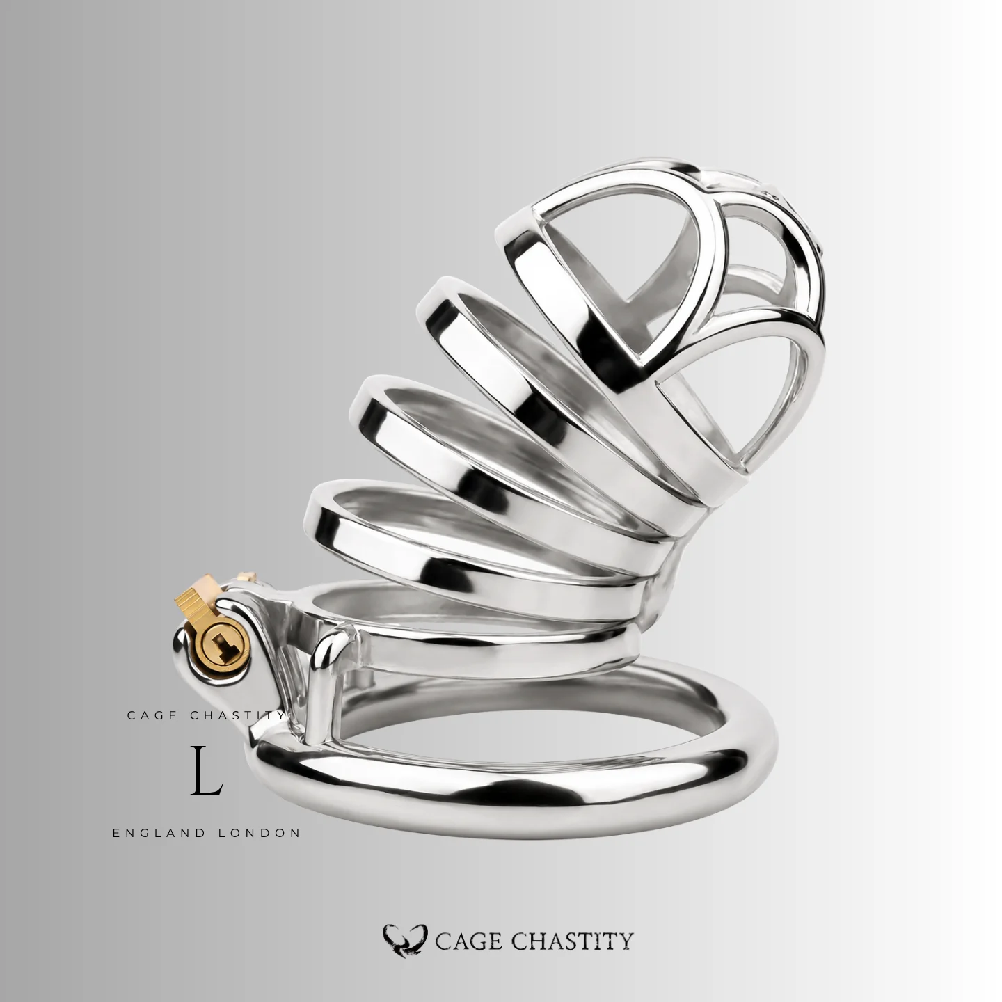 Large long-wear cage standing above its circular ring