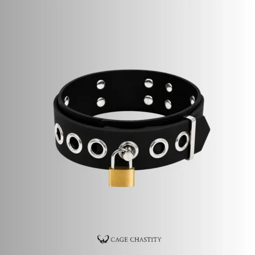 Dual-Layer Silicone Locking Collar