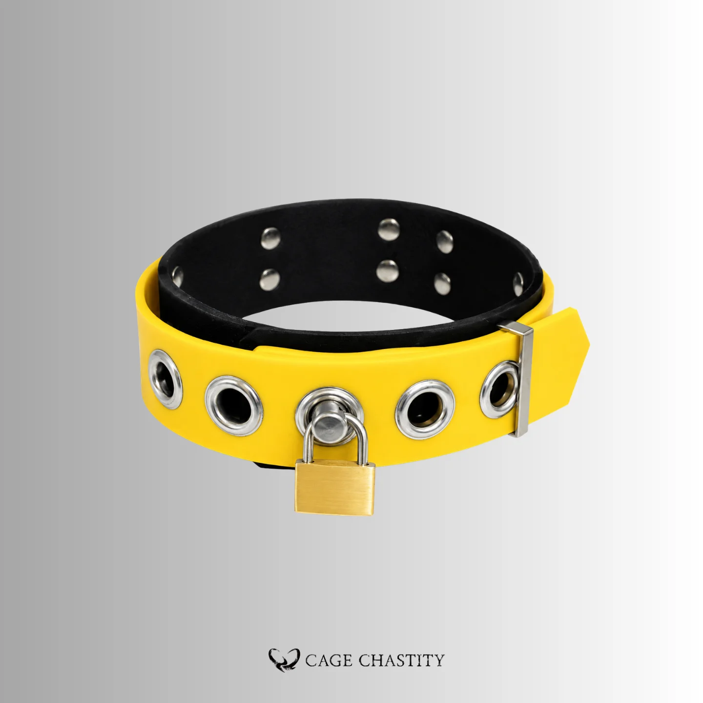 Dual-Layer Silicone Locking Collar