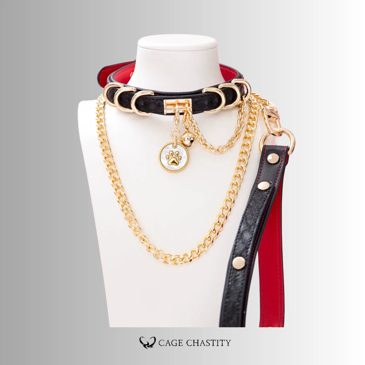 PawGild Python Leather Paw Collar & Leash Set