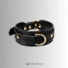 Serpent Luxe – Italian Leather Bondage Collar & Restraint Set
