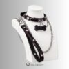 Claimed Puppy – Jeweled Bone Tag Collar & Leash Set
