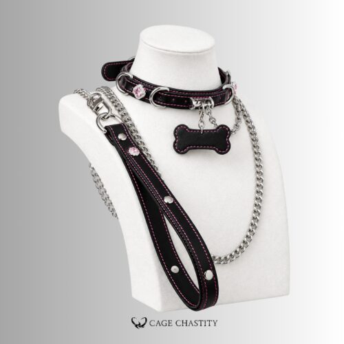 Claimed Puppy – Jeweled Bone Tag Collar & Leash Set