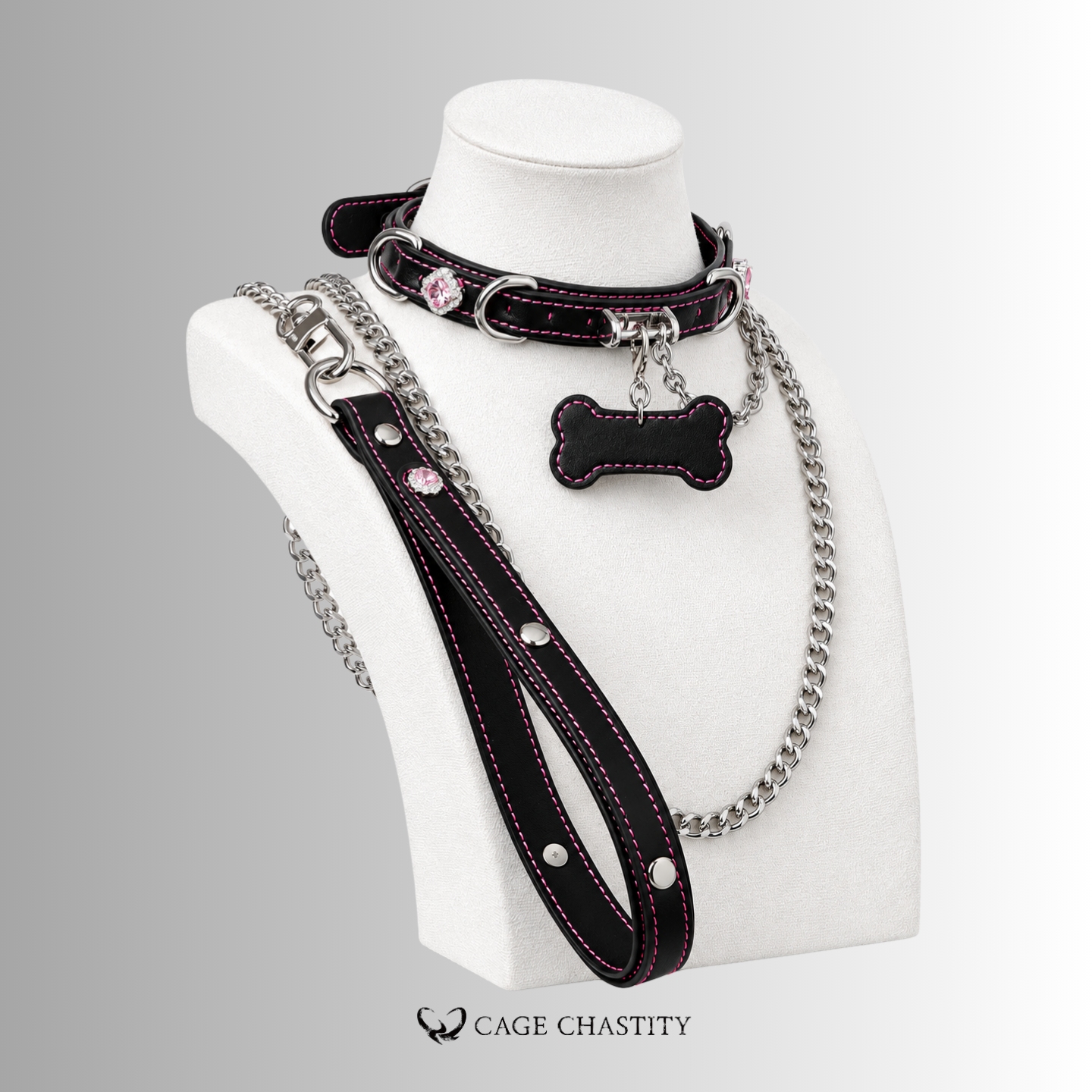 Claimed Puppy – Jeweled Bone Tag Collar & Leash Set