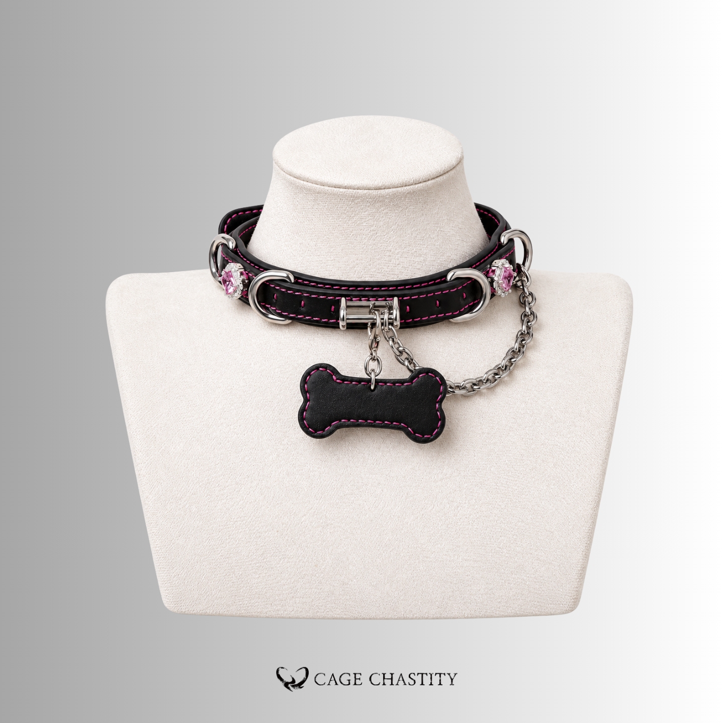 Claimed Puppy – Jeweled Bone Tag Collar & Leash Set