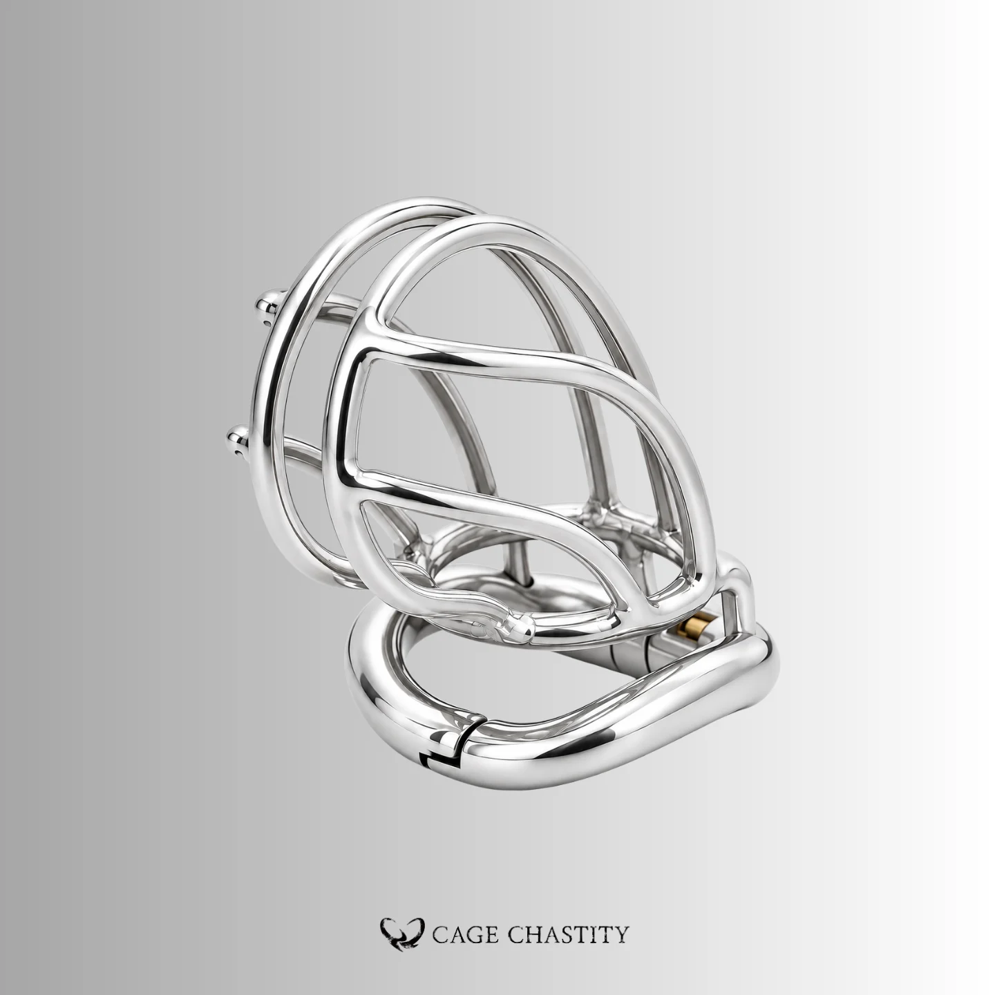 Ironcell Open-Bar Chastity Cage – LK81