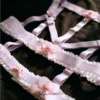 Lilac Ultra-Luxe Handcrafted Sissy Lingerie Set with Garters