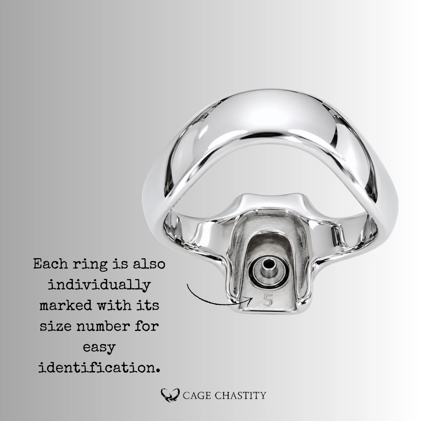 Holy Trainer V5 Rings – Steel – AC23
