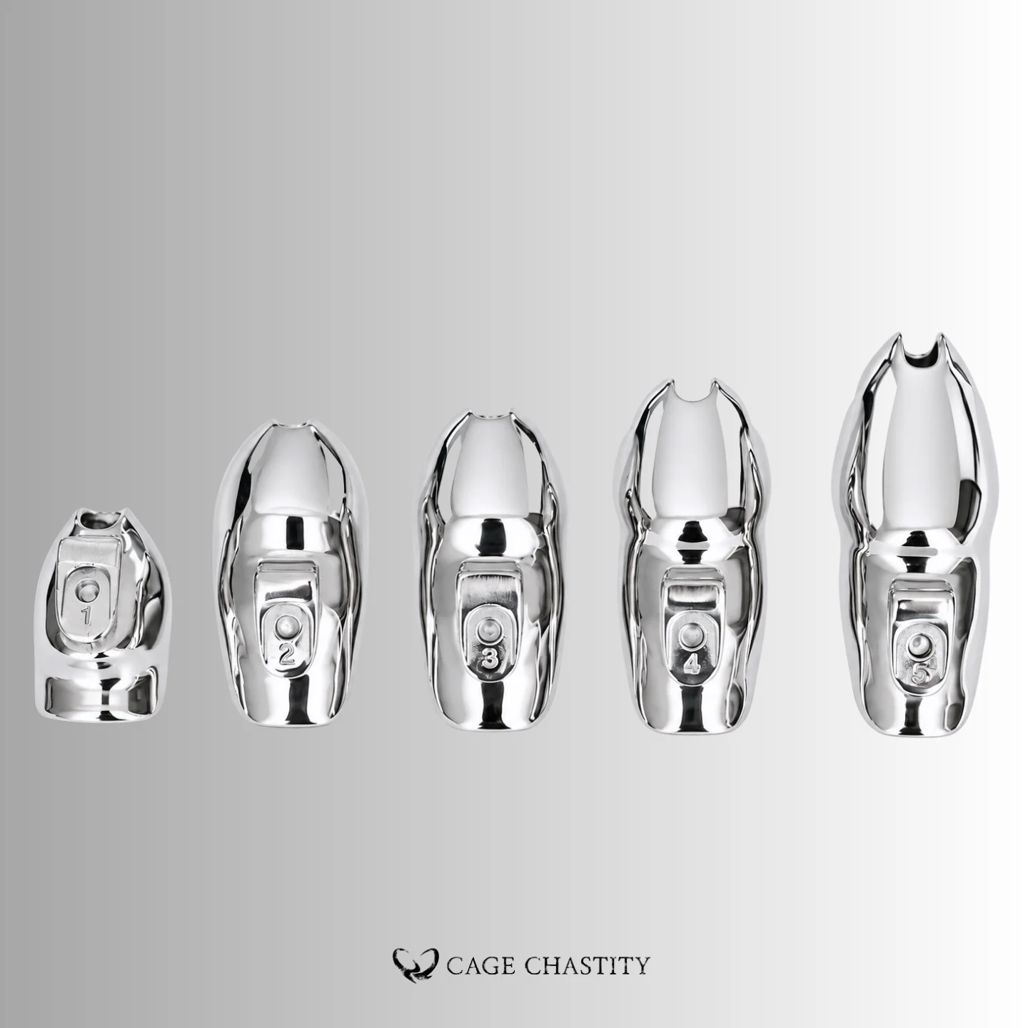 Holy Trainer V5 - Steel
