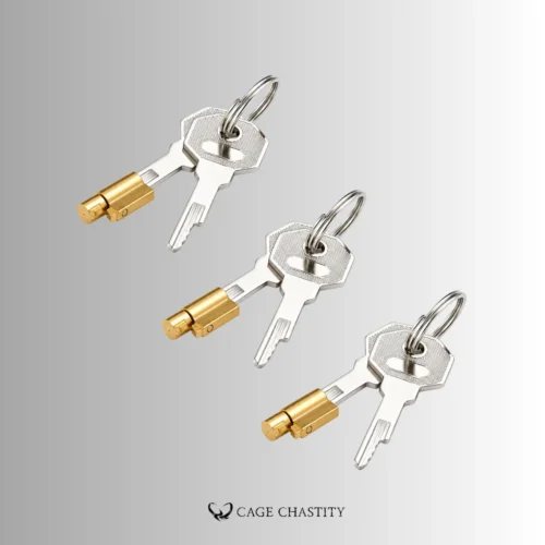 Anti-Cheating Chastity Cage Lock – 3 Non-Interchangeable Key Types