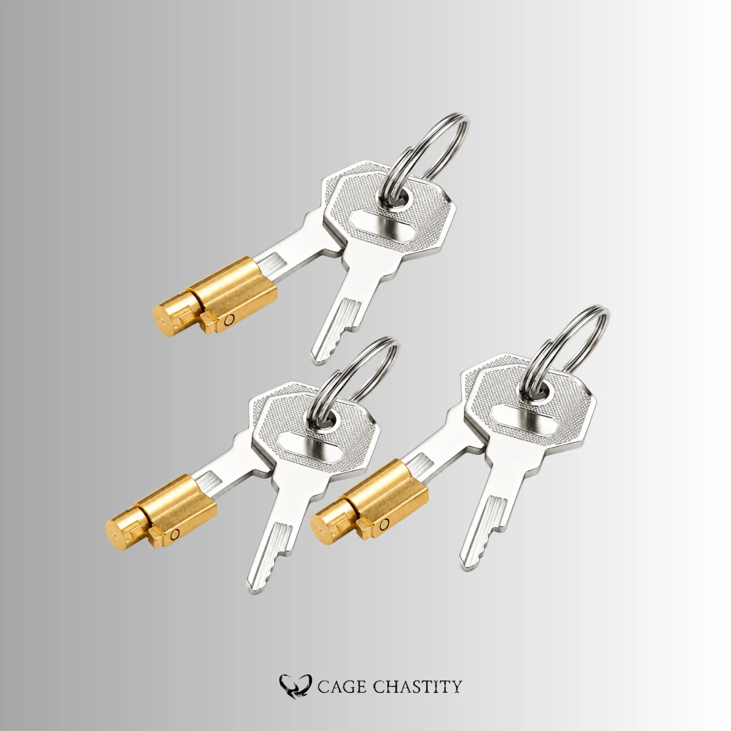 Anti-Cheating Chastity Cage Lock – 3 Non-Interchangeable Key Types