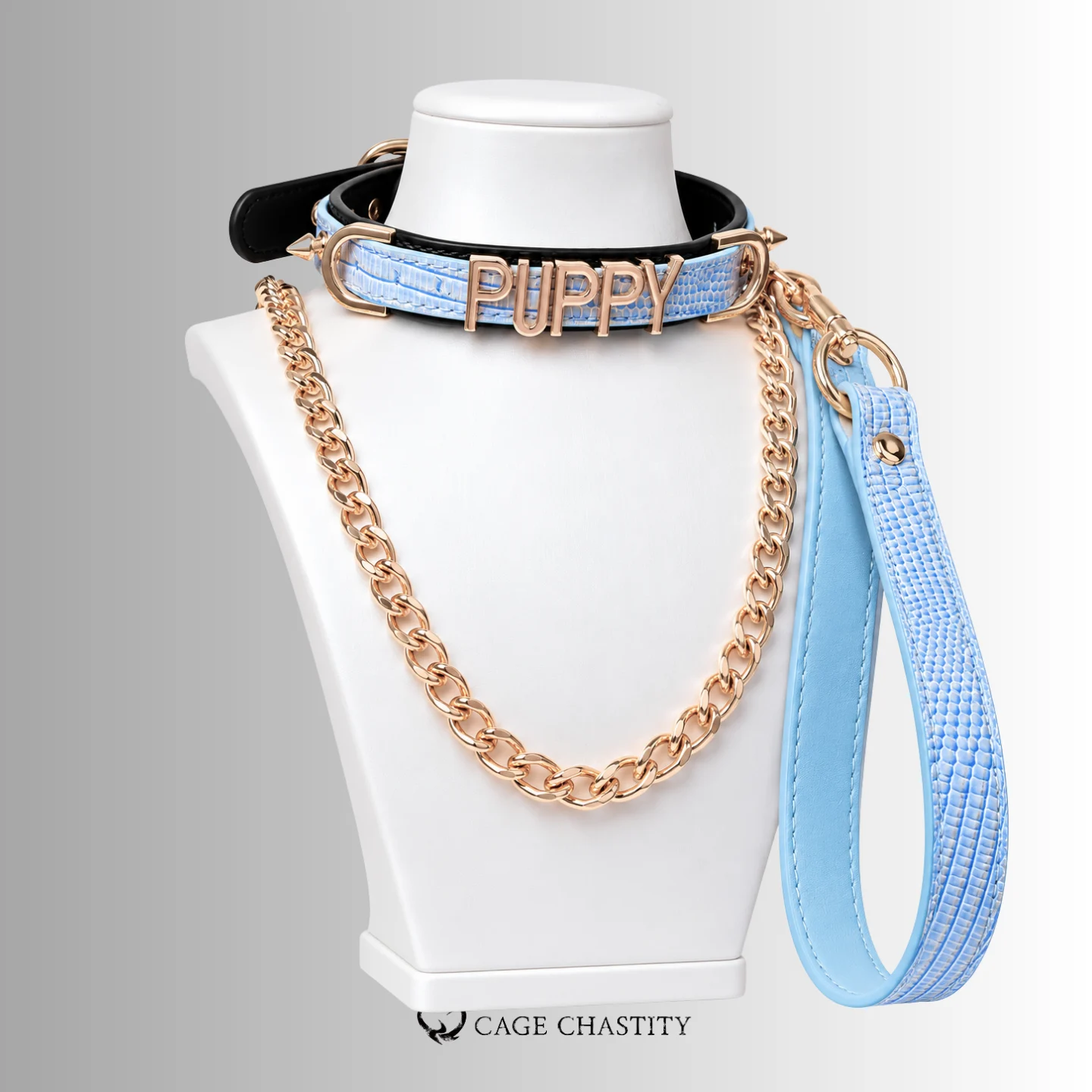 Fetish Word Collar & Chain Leash Set