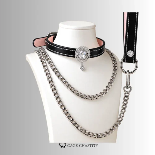 Noir Éclat – Swarovski Crystal Collar & Chain Leash Set