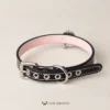 Noir Éclat – Swarovski Crystal Collar & Chain Leash Set