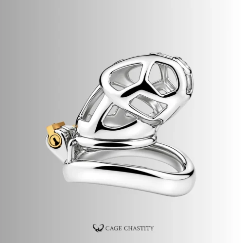 Classic Stainless Steel Cobra Chastity Cage – CC39