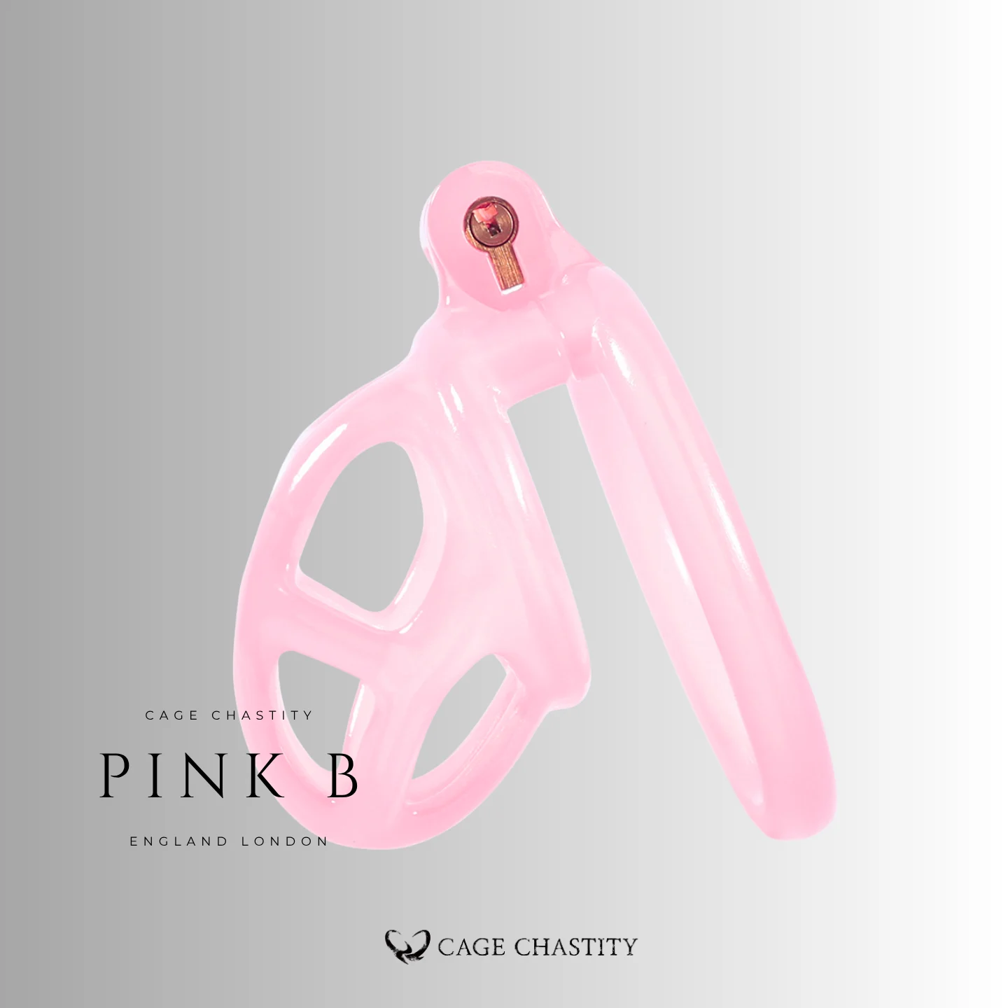 Custom Resin Cobra Chastity Cage