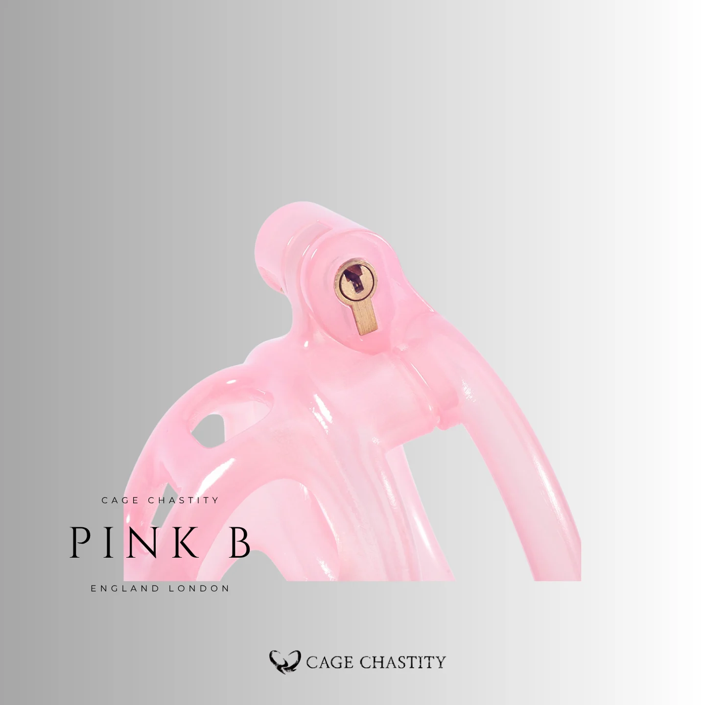 Custom Resin Cobra Chastity Cage